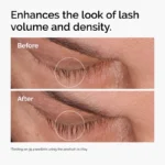 LASH2